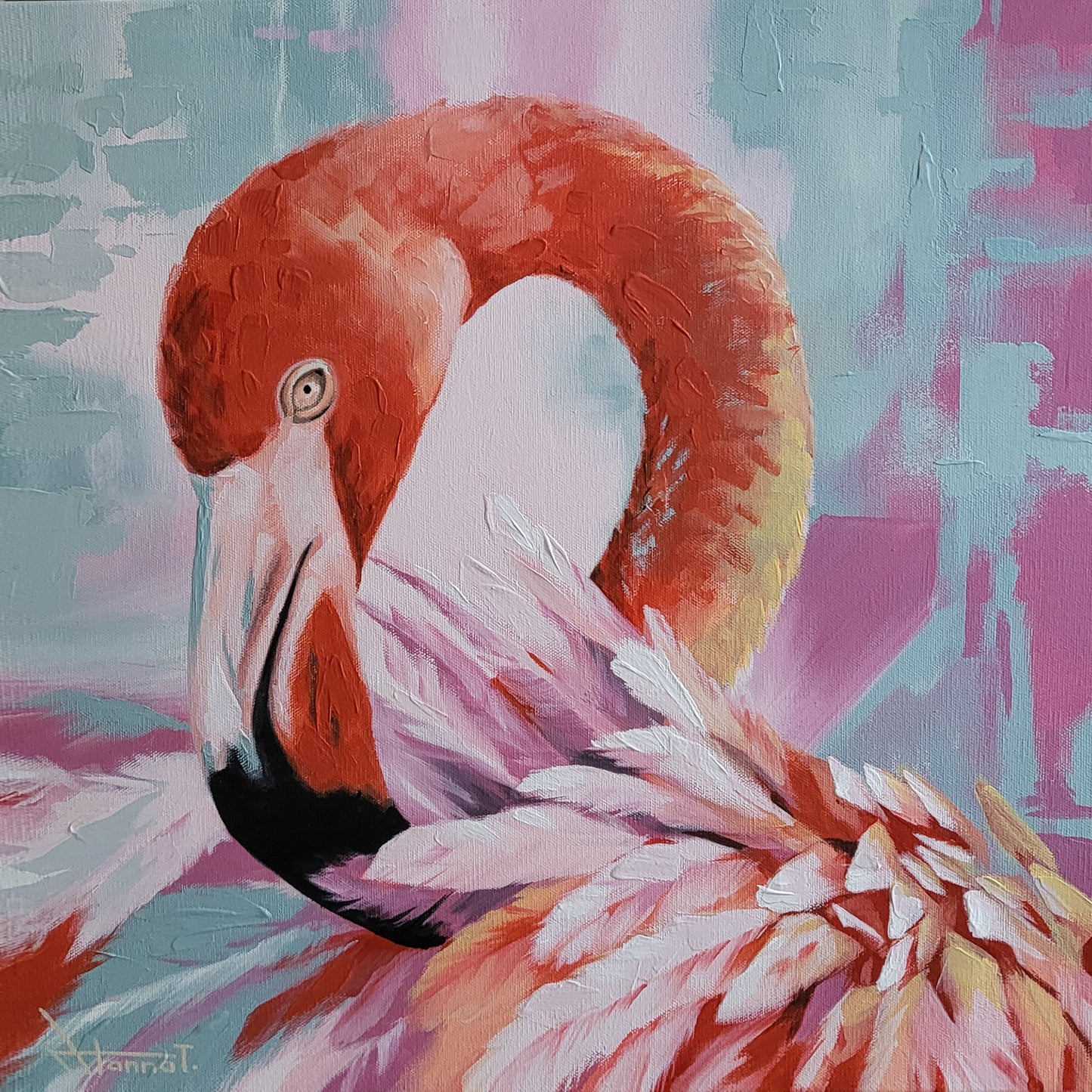 "Flamingo Dream"