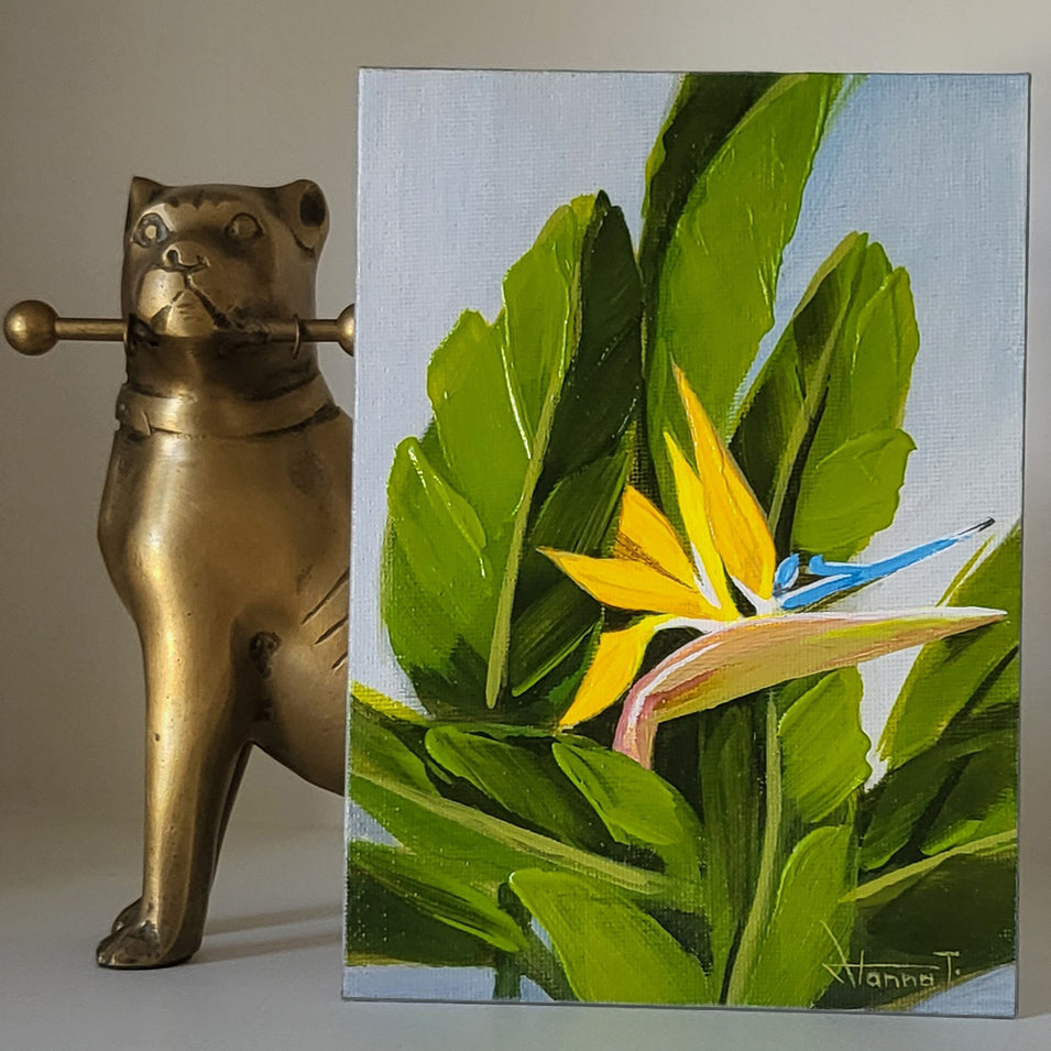 Bird of Paradise