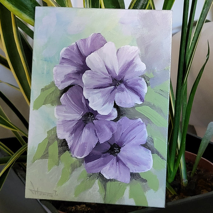 Petunia