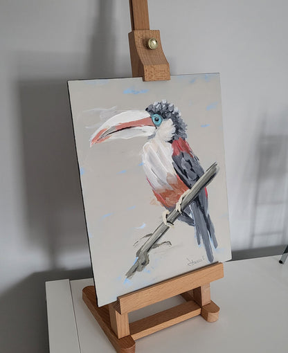 Curl-Crusted Aracari
